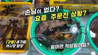 휴가지 어시장 탐방 손님이 없다 ?  요즘 주문진상황...어떤 수산물들 그리고 가격은 ?  주문진 좌판 풍물시장