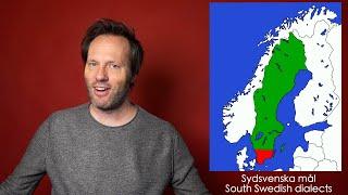 A brief history of the Swedish Language