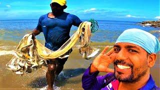 මෙහෙමත් විසිදැල් ගැහිල්ලක්  Unbelievable cast net fishing  @wishwatiyubaya  