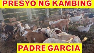 Part 2   Murang Presyo ng 18 Kambing Goat Sa Padre Garcia Batangas  November 2022