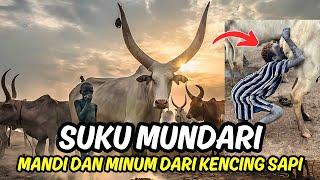 MANDARI SUKU UNIK YANG MANDI DAN MINUM AIR KENCING SAPI MEREKA