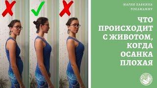 Что происходит с животом когда осанка плохая?