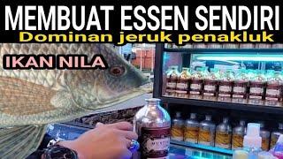 BUAT SENDIRI Essen jeruk mancing nila