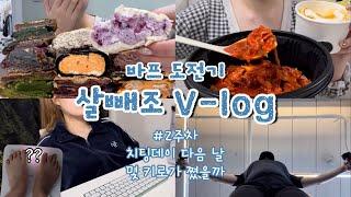 바프다욧 브이로그#2 살은 안 빠져도 치팅데이는 못 참지ఠ ̥̆ ఠ 어글리베이커리국물두루치기️‍ 노력한만큼 결과가 안 나올 때 마음가짐