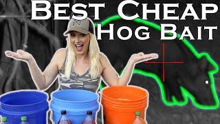 How to Make PIG BAIT CHEAP Hog Bait Recipe Want the Best Hog Bait? We did a 3 Flavor Taste Test
