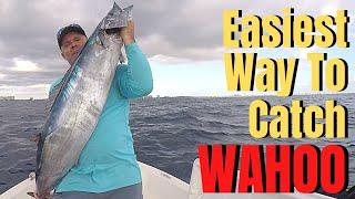 How To Catch WAHOO The EASIEST Way LURES BAIT GEAR TROLLING BASICS & TACTICS