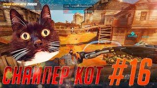  НЕУЛОВИМЫЙ КОТ● Overwatch moments 16