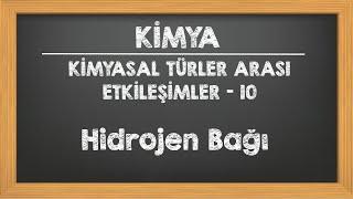 Hidrojen Bağı 9.Sınıf YKS TYT Kimya