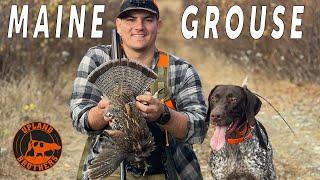 The Bond of the Upland  Maine Grouse & Woodcock Final Episode