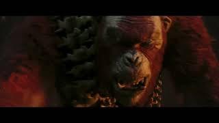 Godzilla x Kong The New Empire 2024 - Kong Meets Skar King