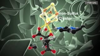 How Enzymes Work from PDB-101