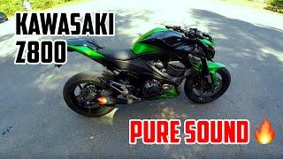 Pure Sound of KAWASAKI z800  Hurric MP One