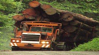 Extreme Dangerous Biggest Wood Logging Truck Operator Skill Amazing Heavy Equipment Truck Driving