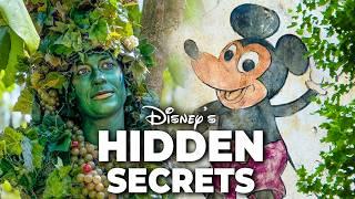 Top 10 Hidden Secrets at Disneys Animal Kingdom