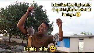 Mancing ikan ketang atau kiper pakai umpan cacing laut di tarik sampai putus putus leader di buatnya