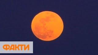 Кровавая Луна когда и где будет видно первое лунное затмение 2019