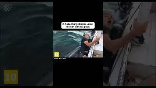 Momen-momen langka yang terekam kamera di laut No. Berapa Kesukaanmu?