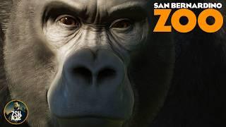 Building a Gorilla Mountain in Franchise Mode  San Bernardino Zoo  Planet Zoo