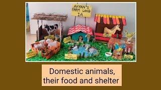 How to create domestic animalstheir food and shelter for school project.