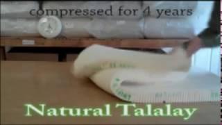 Talalay Latex Mattress vs Dunlop Latex Mattress