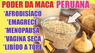 O PODER DA MACA PERUANA PARA EMAGRECERMENOPAUSA AFRODISÍACO VAGINA SECALIBIDO A TOPE CONFIRA 