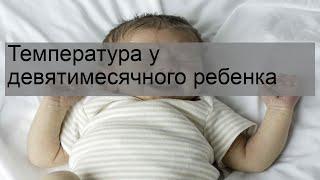 Температура у девятимесячного ребенка