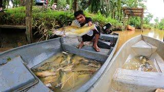 amukan ikan baung dari petang sampai ke pagi eps187