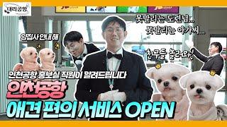 EN 인천공항 애견편의시설 오픈with. 보리빛나는 밤 대리공항 EP.2