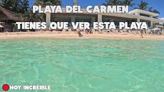 PLAYA DEL CARMEN HOY PLAYAS INCREIBLES  12 SEPTIEMBRE 2024