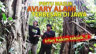 AJAK IRFAN HAKIM MASUK DI AVIARY ALAM TERBESAR DI PULAU JAWA - SURGA RIBUAN BURUNG LIAR - TAKJUB 