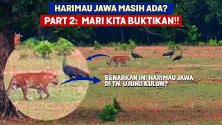 Part 2. Harimau Jawa Masih Ada Mari Kita Buktikan Kalau Harimau Jawa Belum Punah