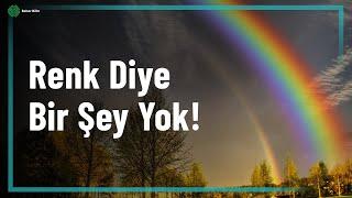 RENK DİYE BİR ŞEY YOK