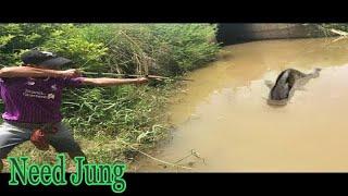 Primitive Bowfishing Shoot Big Fish With Bow Fishing Make By Creative Man In My Village - Need Jung