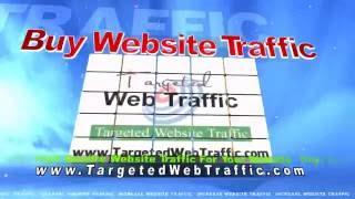 Buy Website Traffic  Buy Targeted Traffic  High Quality Website Traffic For Your Website