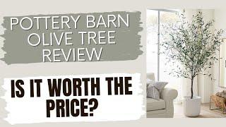 Pottery Barn Olive Tree Review. Is it the best faux tree for your home?