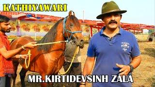 ALL ABOUT KATHIYAWARI HORSES  Enjoy the Interview By KIRTIDEVSINH ZALA
