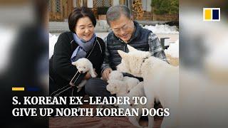 Former South Korean leader Moon Jae-in to give up dogs given by Kim Jong-un