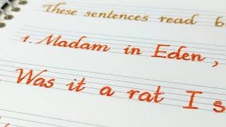 Satisfying Print Handwriting  Special Sentences Read Both Forward and Backward  Calligraphy  Neat