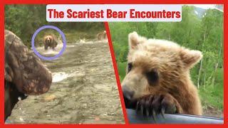 The scariest bear encountersGrizzly Bear EncounterGrizzly Bear Encounter HikingBear Attacks 2024