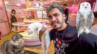 The SAD REALITY of Coffee Shops with ANIMALS in JAPAN