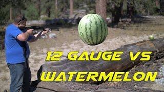 12 gauge slug vs watermelon with slow motion
