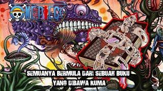 SEJARAH DUNIA ONE PIECE yang HILANG ada di dalam sebuah BUKU