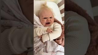 Fake Baby REALLY Cries Angry Realistic Reborn Toddler Doll