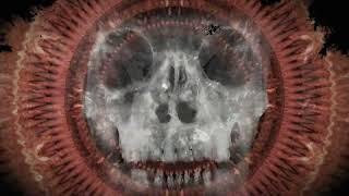 Dååth - The Philosopher Death Cover ft. Dan Sugarman and Rafael Trujillo