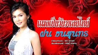 แผลเป็นวันวาเลนไทน์ - ฝน ธนสุนทร OFFICIAL MV Fon Thanasoontorn