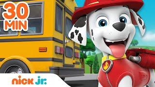 PAW Patrol Back to School Rescues & Adventures  30 Minute Compilation  Nick Jr.