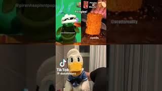 Donald Duck Is Not Himself With PirannhaPlantPuppet Fail