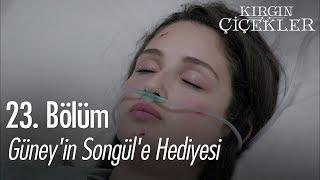 Songül hayata dönüyor - Kırgın Çiçekler 23. Bölüm