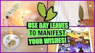 5 WAYS TO USE BAY LEAVES TO MANIFEST YOUR WISHES │HOW TO ATTRACT WHAT YOU WANT WITH A BAY LEAF