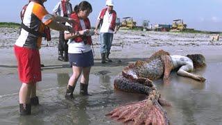 Grabe Hindi ka MANINIWALA sa NATAGPUAN nila sa BEACH na ito